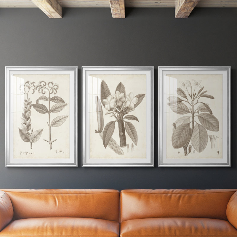 Antique sépia botanicals VI - reproduction encadrée sur mesure de qualité supérieure - 3 pièces, H 27 po x l 39 po