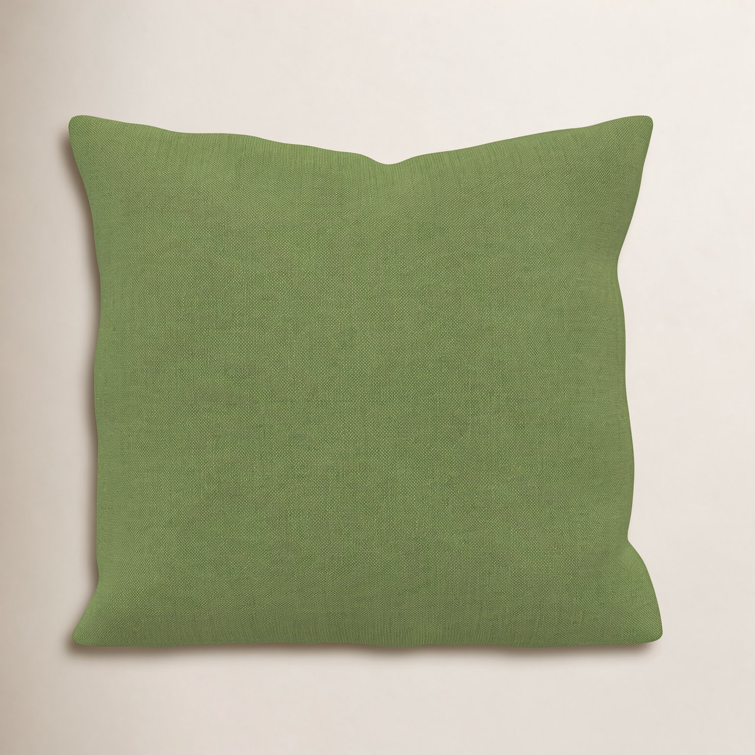 Indoor/Outdoor Throw Pillow, Square 18", Spectrum Cilantro Sunbrella® Plainweave