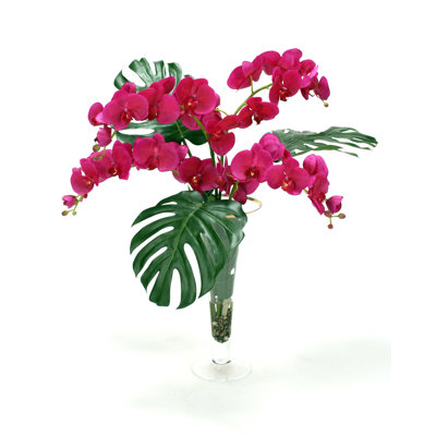27 " Orchid Arrangement