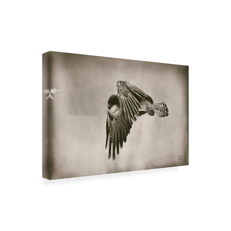  Art mural Nathan Larson Landing Home, H 12 po x l 19 po