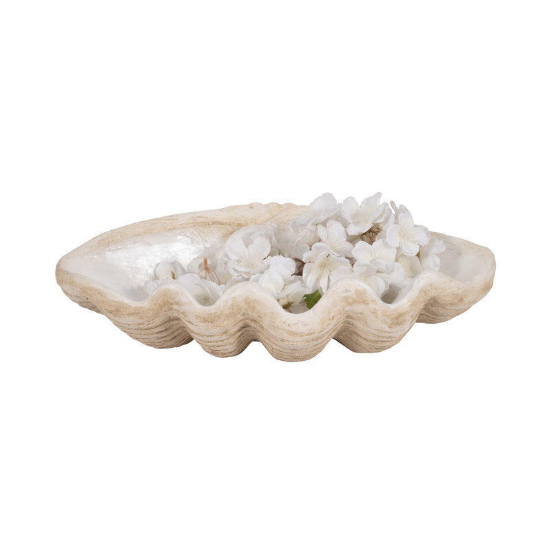 Bequette Resin Polyresin Coastal Decorative Clam Shell Bowl with Sculptural Wavy Rim - Elegant Modern Accent Bowl for Display or Storage - Stylish Textured Centerpiece for Home Decor
