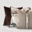 Aiden Square Pillow Cover & Insert