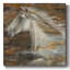 «Run Wild» - Impression sur toile tendue-446860027