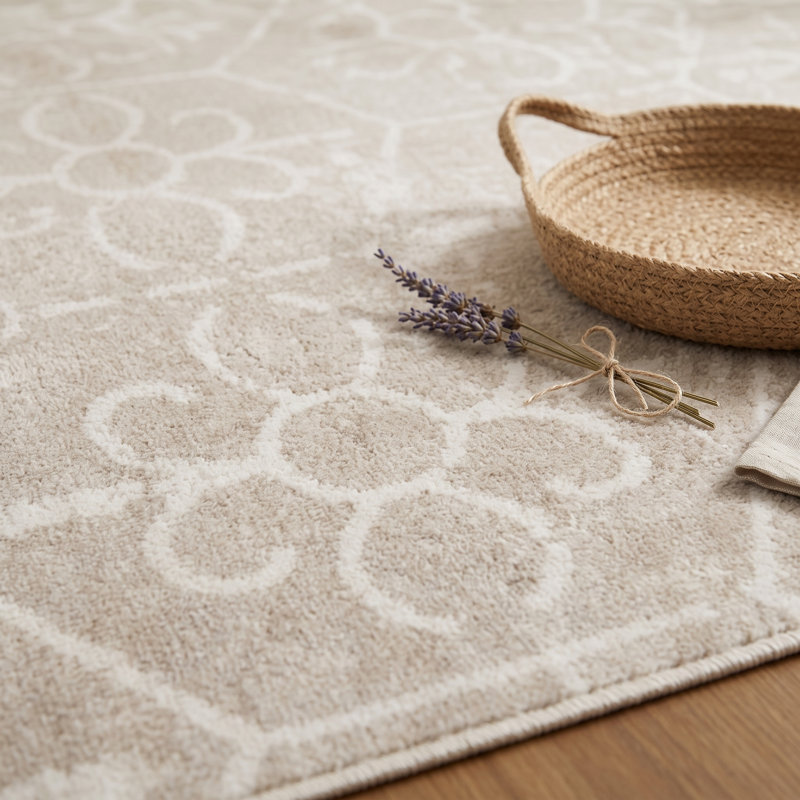 8‘ * 10’ Distressed Area Rug