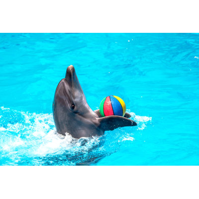Glad Glad Beautiful Dolphin par Alesik - Photographie sur toile tendue