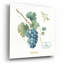 «My Greenhouse Fruit III» par Lisa Audit, art mural en verre acrylique-1625122704