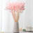 100pcs Home Decoration Rabbit Tail Grass Dried Flower Bundle True Flower Eternal Flower-636222124