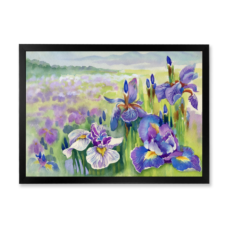 «Purple Iris Field In Summer», reproduction sur toile flottante, Cadre noir, H 8 po x l 12 po x P 1 po