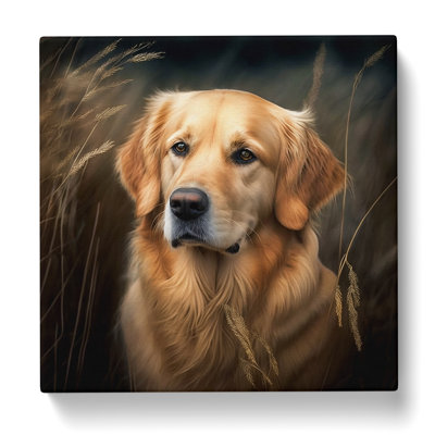 Golden Retriever Photograph - No Frame Print