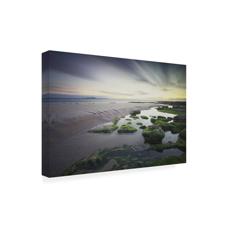 Œuvre sur toile Beach, H 16 po x l 24 po