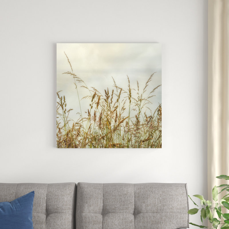 «Bluff Grass I» par Dianne Poinski - impression sur toile tendue, H 30 po x l 30 po