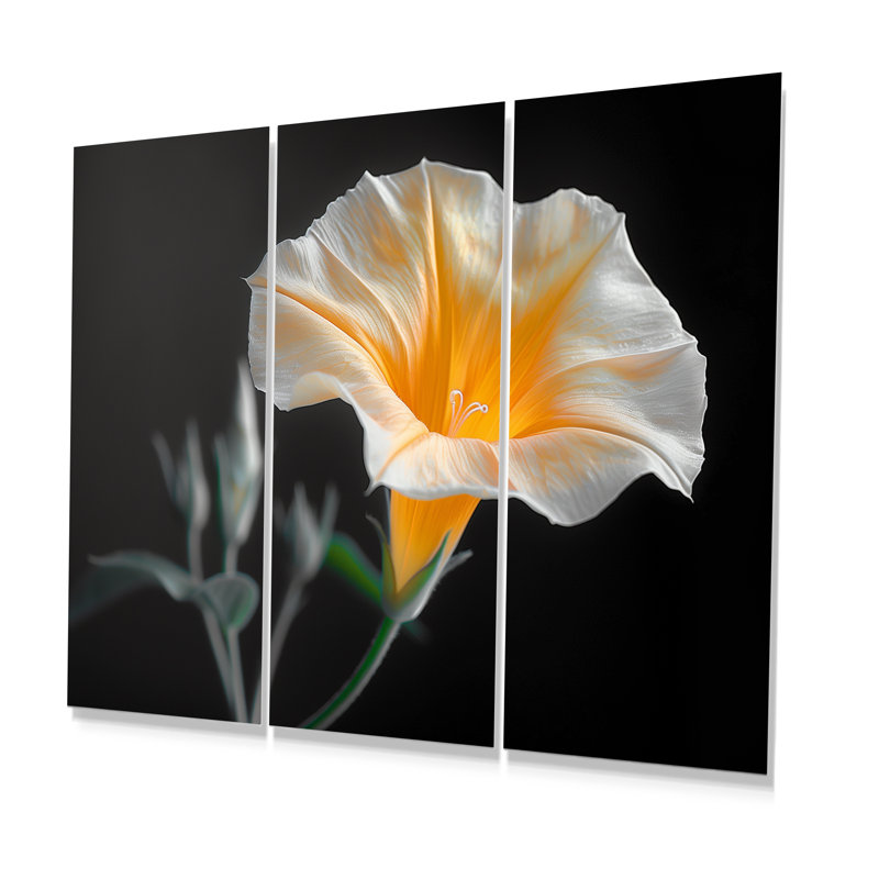 «White Yellow Whimsical Wonders Morning Glory», ensemble de reproductions d'art mural, H 28 po x l 36 po x P 1 po