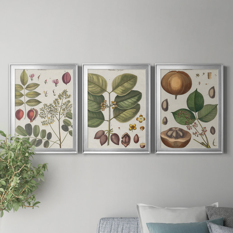 Exotic Botanique I - Ensemble de 3 reproductions d'art sur toile, Argent