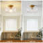 Glass Semi Flush Mount