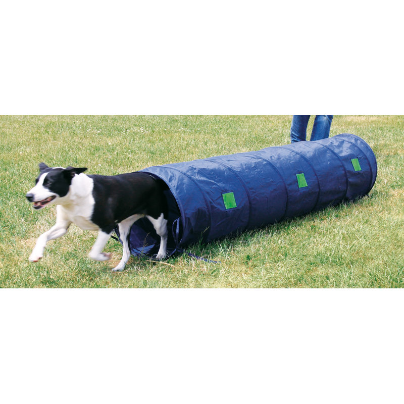 Blue and Black 6.5-ft Dog Agility Training Tunnel