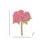 Ensemble de dahlia 14 "Pu Summer-1309916456