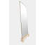 Zuri Rectangle Beveled Mirror