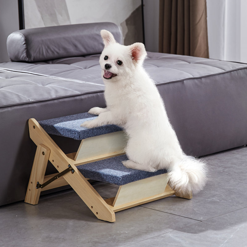 Collapsible Stairs With 2 Steps