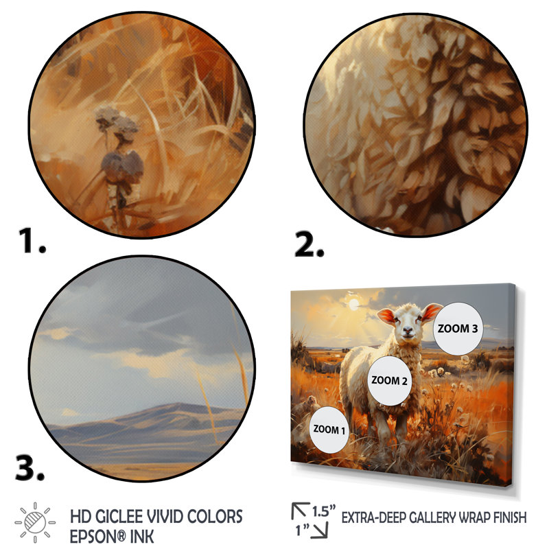 «Sheep In Sunlight I» sur toile, Cadre flottant doré, H 16 po x l 32 po x P 1 po