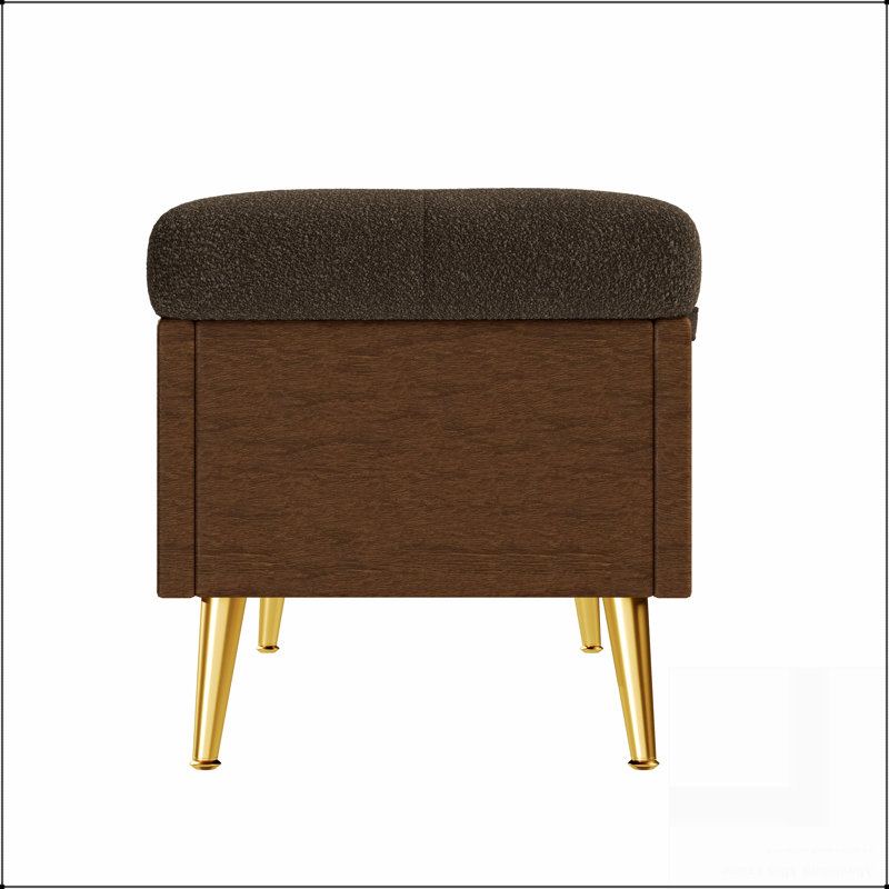 Banc de rangement avec repose-pieds Modern, Café