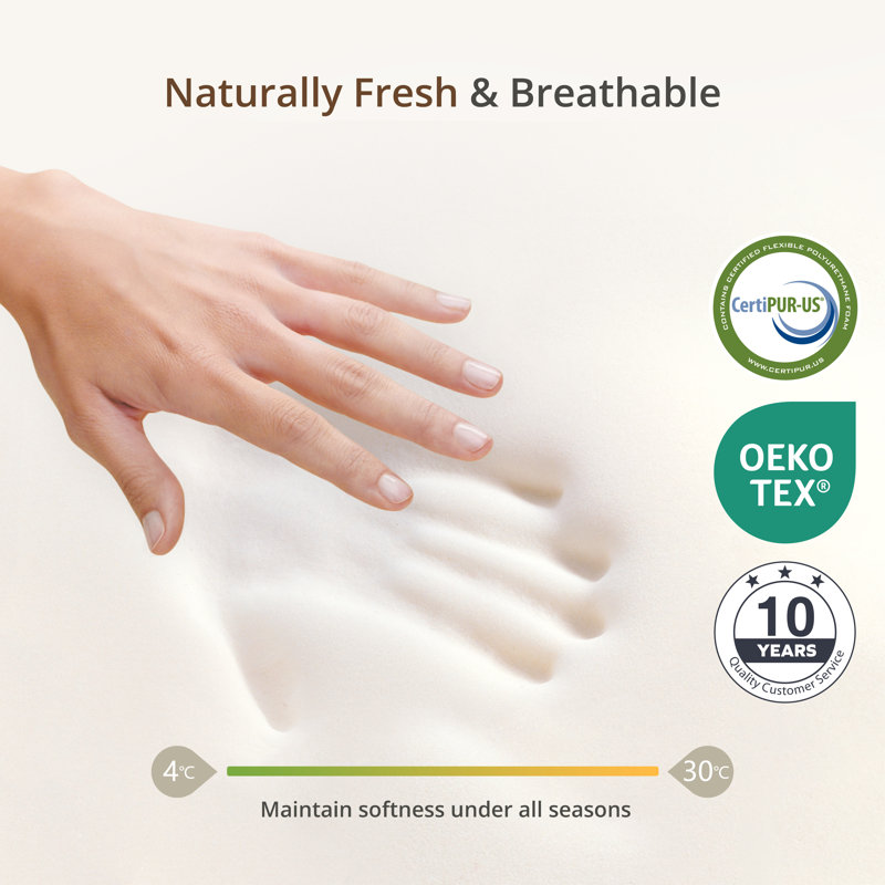 Rodrigue Medium Gel Memory Foam Mattress in a Box Infused with Green Tea,   , 12"