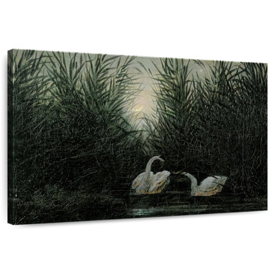 Brampt Swans In The Reeds