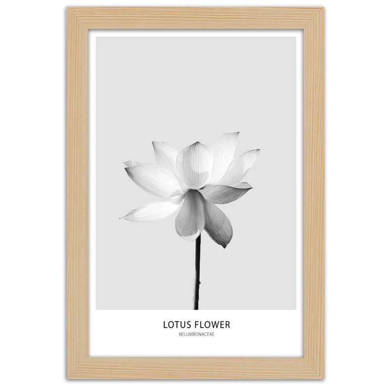 White Lotus Flower Nature - Single Picture Frame Print, Tan, 90cm H x 60cm W
