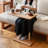 Burlywood+Black+Silver Rectangular Solid Wood+Aluminium Alloy End Table