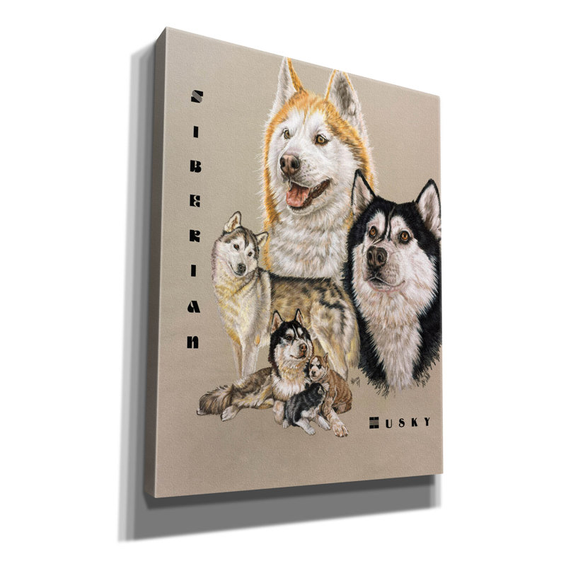 «Siberian Husky» par Barbara Keith, art mural sur toile, H 34 po x l 26 po