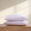 Hotel Sheet Set-1644503000-1644503007
