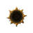 Gilded Vase Large-1715520936