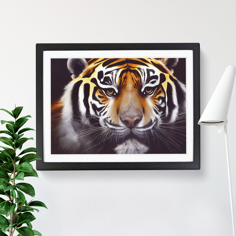 Lovely Tiger - Single Picture Frame Print, Black, 46cm H x 64cm W