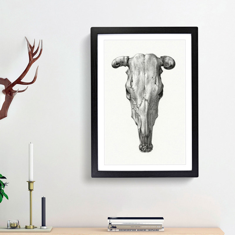 The Skull of a Cow by Jean Bernard - Picture Frame Drawing Print, 36cm H x 27cm W x 2cm D, Black Framed