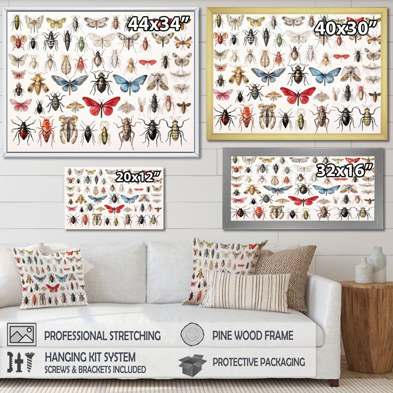 «Tiny Insect Wonders II», reproduction sur toile, Cadre doré à une seule photo, H 12 po x l 20 po x P 1 po