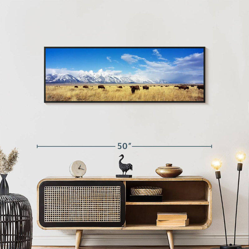 Troupeau de bisons au parc national de Grand Teton WY, 57 po x 19 po, Cadre flottant noir