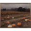 Time For Pumpkin Harvest-310509886