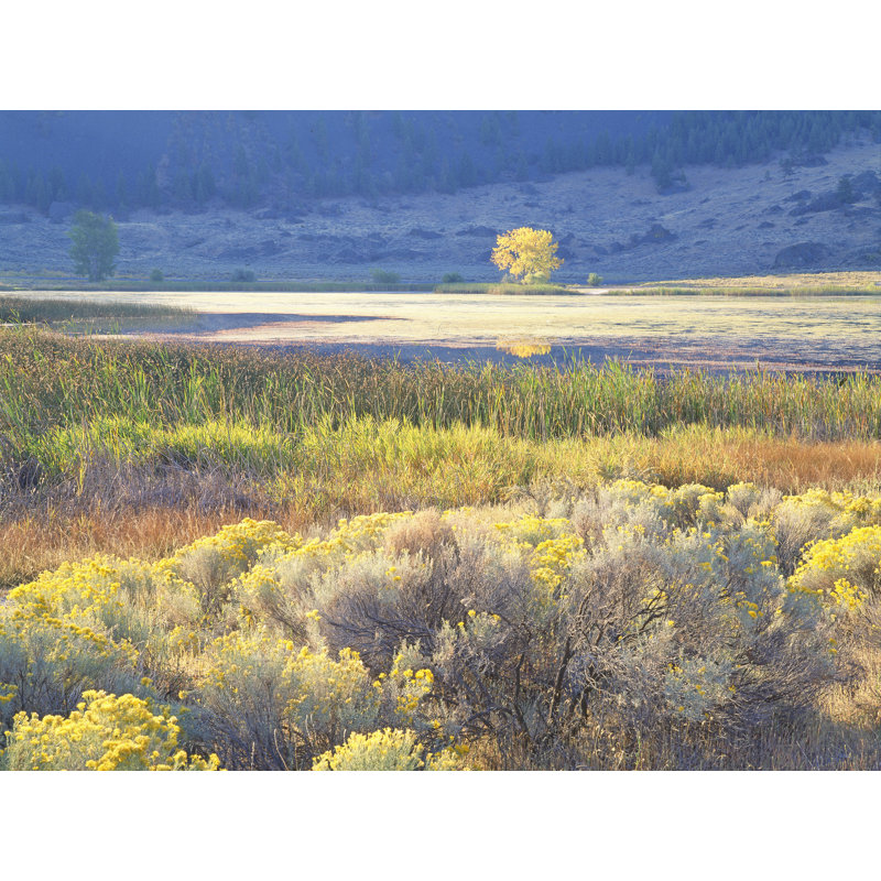 Banks Lake Autumn Meadow Print by Bruce Heinemann, Black Framed Canvas, 32" H x 24" W