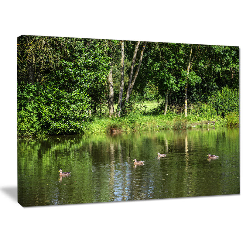 «Bushes and Trees in River Bank», reproduction de photo sur toile tendue, H 20 po x l 20 po x P 1 po