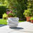 Pottery & Cement Planter With Sculpted Textured Design For Indoor Outdoor Home & Garden Decor - 5" White
