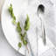 Stainless Steel Teaspoon