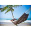 Barbados Double Hammock-36120858