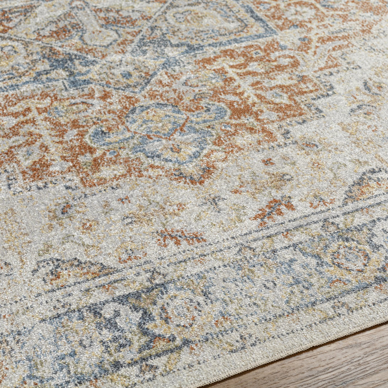 Beliveau Washable Oriental Indoor Rug, Rectangle 5'3" x 7'