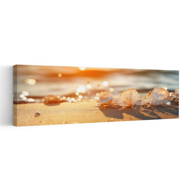 Sunlit Seashells Serene Tranquil Abstract Coastal Art mural, H 12 po x l 36 po