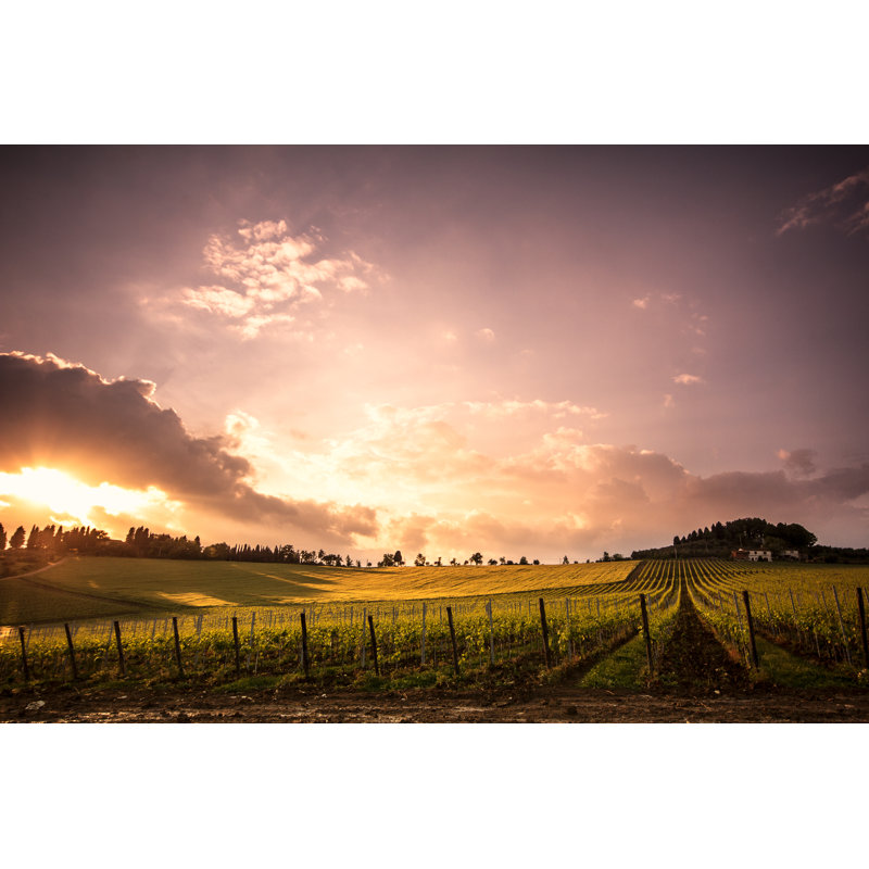 Sunset at a Chianti Wine Vineyard with Trees in the Distance 1 Piece Wrapped Canvas Wall Art, 81cm H x 122cm W