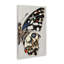 «Butterfly Wing» par Melissa Wang-474605991