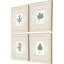 Leaf Adorned II Set by Giclee Studio