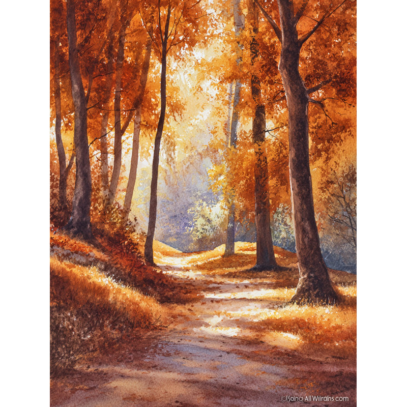 Art mural sur toile Amber Forest Pathway