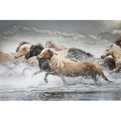 Reproduction d’art sur toile tendue « Horse Run IV » par PHBurchett