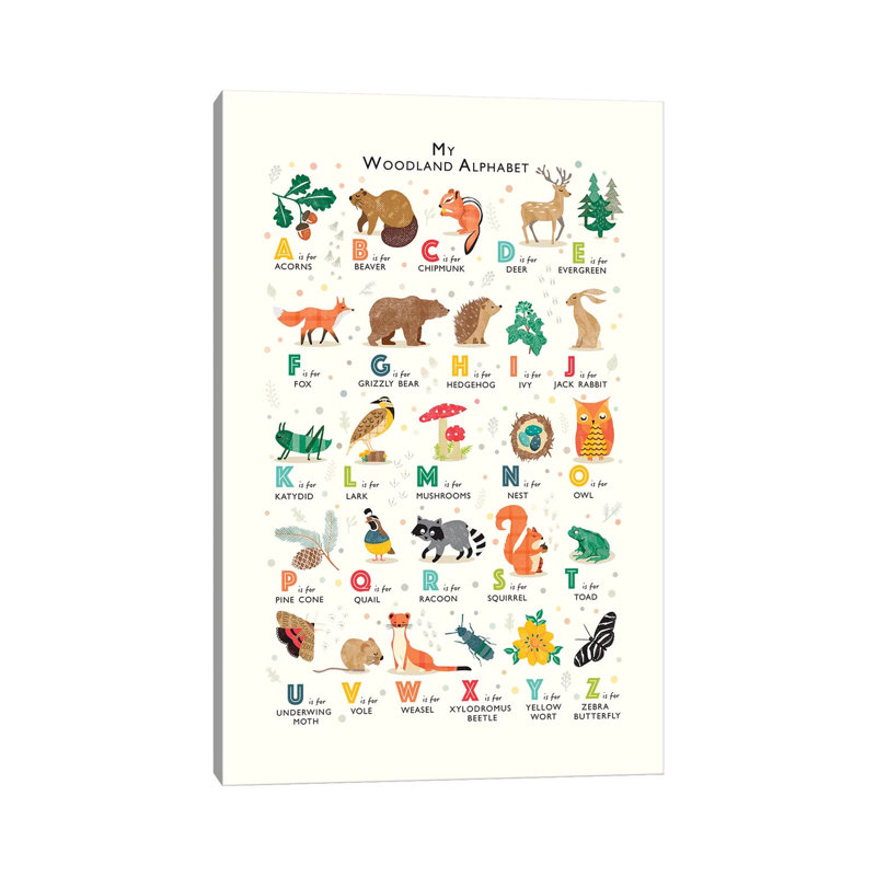 Woodland Alphabet - Wrapped Canvas Print, 30.48 cm H x 45.72 cm W