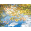Autumn Maples Over Pond Print by Bruce Heinemann-65824753-65848941